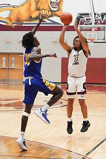 eh2223_bvhoop_1cors_020