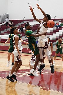 eh2223_bvhoop_longv_018