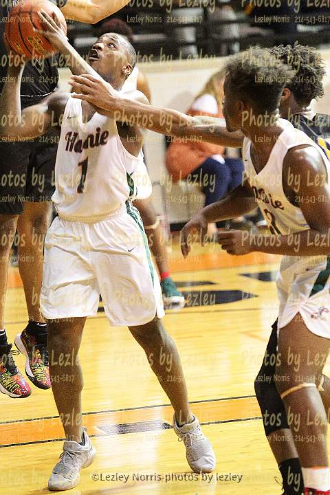 wh1718 vbhoop sim041