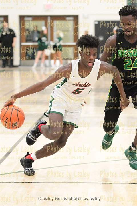 wh1819 bvhoop desoto 024
