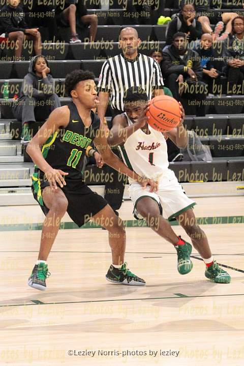 wh1819 bvhoop desoto 029