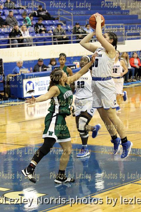 wh1718 vghoop 2midlo044