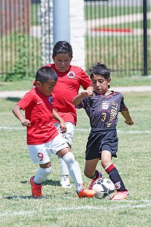 SFCburl_jack17b_jbs_011