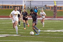 eh2324_gvsoc_forney_009