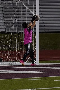 eh2324_gvsoc_forney_019