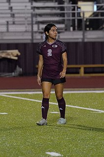 eh2324_gvsoc_forney_020