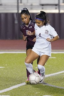 eh2324_gvsoc_redoak_007