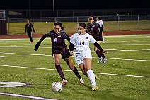 eh2425_gvsoc_ferris_011