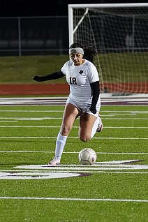 eh2425_gvsoc_ferris_020