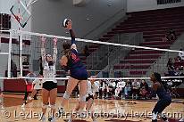 eh24_vbv_waxalife012